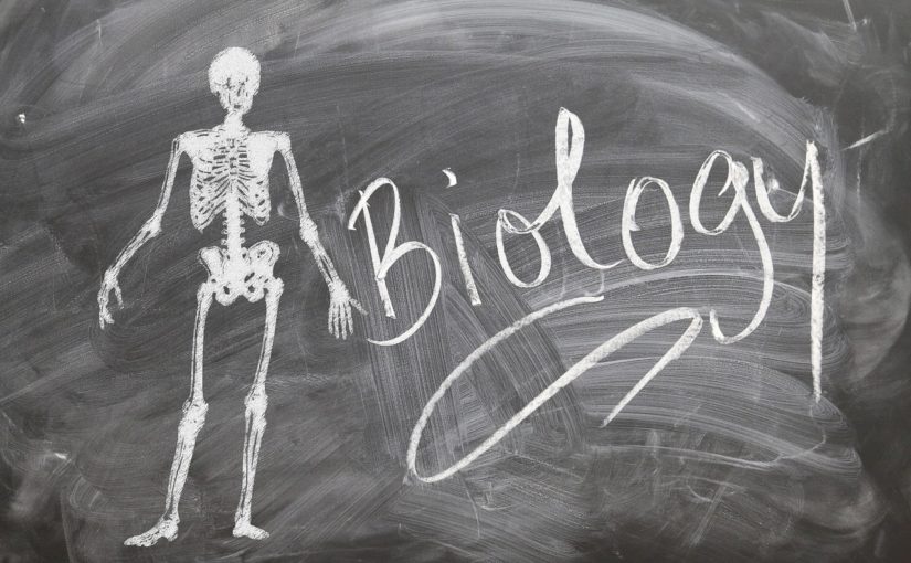 Gdy uczeń pasjonuje się biologią – 4 pomoce naukowe dla małego biologa